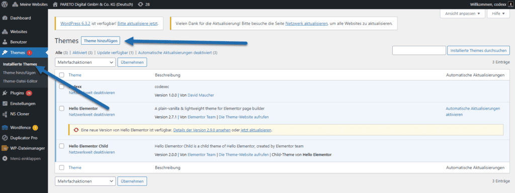 WordPress Multisite Theme hinzufügen